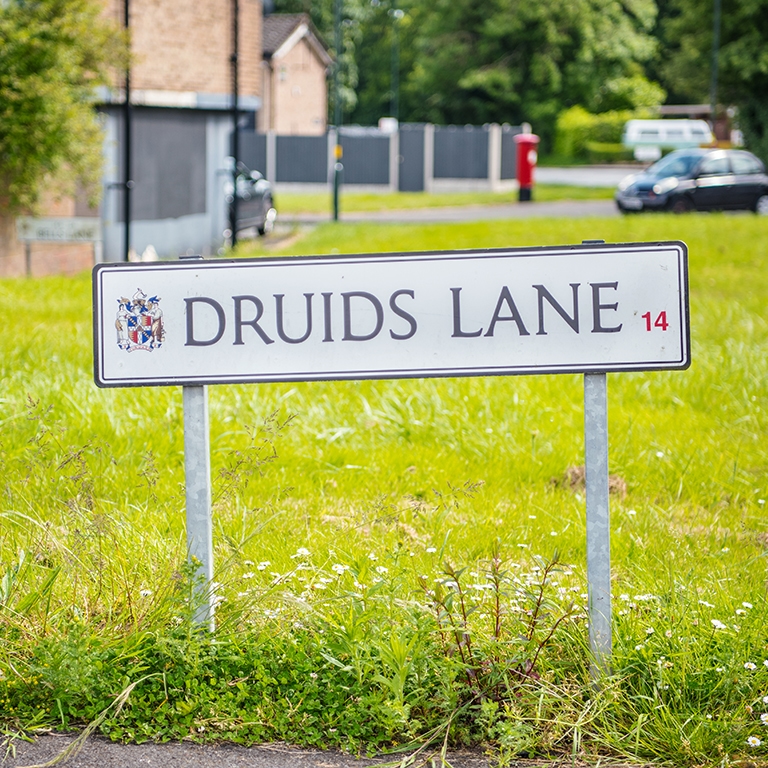 Druids Heath